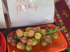 -马陆小张葡萄园农家乐