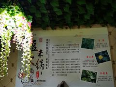 -黔府豆米火锅野菜馆(南马店)
