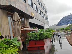 -蘑界·野生菌火锅(深业上城店)