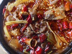 鲜切鲜牛肉-有红鸡毛店·砂锅菜(抚琴夜市店)