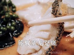 藤椒蒸龙趸斑-明阁 Ming Court(广州朗豪酒店)