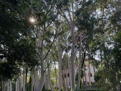 -厦门大学(思明校区)