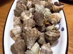 水煮小海螺-海派美食·家宴海鲜青岛菜·石锅鲽鱼头(东方城店)