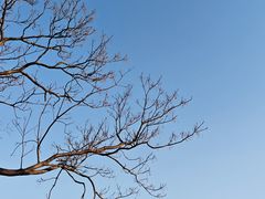 -嘉北郊野公园