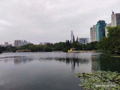 -荔枝公园(福田区)