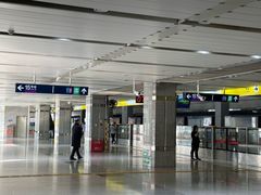 -望京西(地铁站)