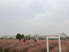 -金卉庄园