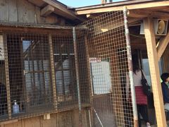 -岚山猴子公园