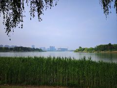 -桐乡凤凰湖