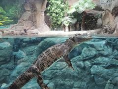 -上海海洋水族馆