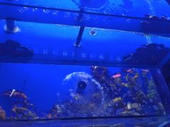-樱之盛宴·蟹料理海鲜自助(前进大街店)