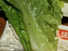 android_upload_pic-傣妹火锅(南京东路一店)