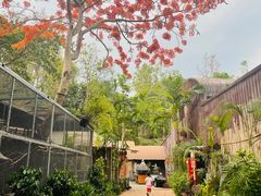 -清迈夜间动物园