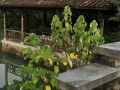 -玉龙寨旅游景区