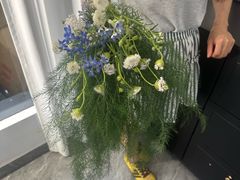 -淘花源花艺鲜花店 开业花篮 绿植(南部商务区店)