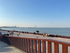 -上海滨江森林公园
