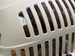 -天宠宠物医院24小时·急重症诊疗中心·全科·腔镜特色(和平分院)