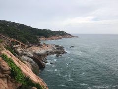 -广东惠东海龟国家级自然保护区