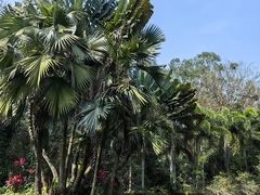 -海南热带野生动植物园