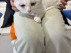-平行世界·猫咖(首经贸店)