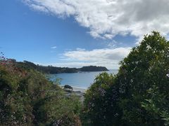-怀希基岛