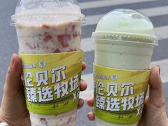 -茉酸奶(春熙路店)