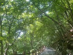 -本溪汤沟绿石谷森林公园