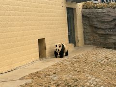 -石家庄市动物园