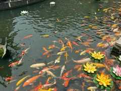 -上海东林寺(金山区)