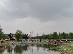 -两河城市森林公园
