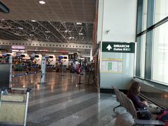 -米兰马尔彭萨国际机场