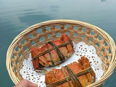 -小陆莲花蟹园农家乐(莲花岛店)