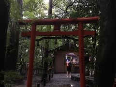 -野宫神社