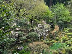-三千院