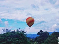 -中国科学院西双版纳热带植物园
