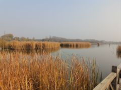 -野鸭湖国家湿地公园