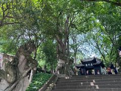 -丰都鬼城名山景区