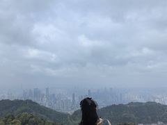 -大金鹰园
