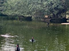 -海南热带野生动植物园