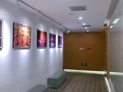 -中央芭蕾舞团·中芭艺蕾(酒仙桥明星校区)