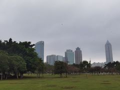 -万绿园