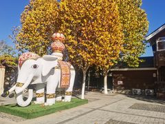 -永定河休闲森林公园