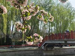 -元大都城垣遗址公园