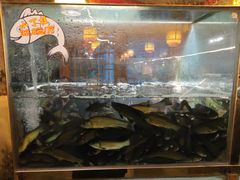 -三道苗苗鱼·美蛙黄辣丁(八里店)