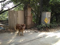 -鼓浪屿风景名胜区-英国领事馆旧址