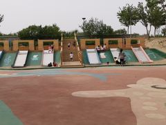 -大兴滨河森林公园