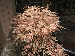 -曼谷大仓新颐酒店