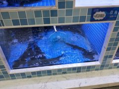 -大河宴椒麻鱼(嘉和园店)