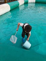 -小蜜蜂农场(凯德七宝购物广场店)