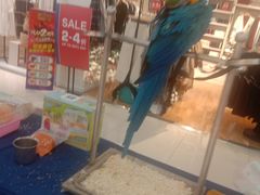 -利群商厦(台东店)
